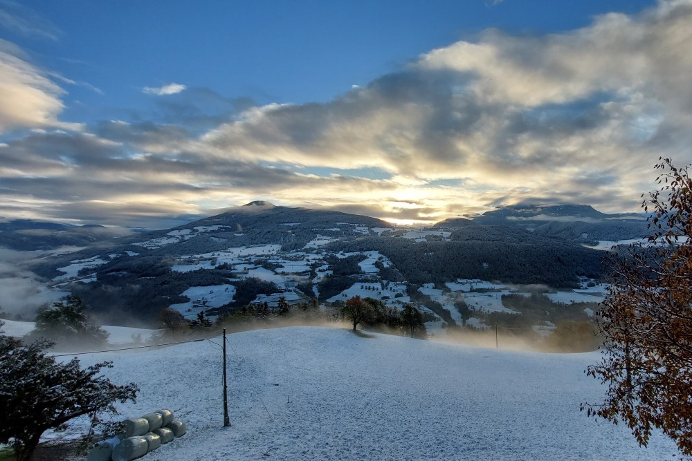 www.hauserhof.net